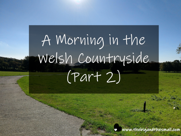 A Morning in the Welsh Countryside (Part 2).png