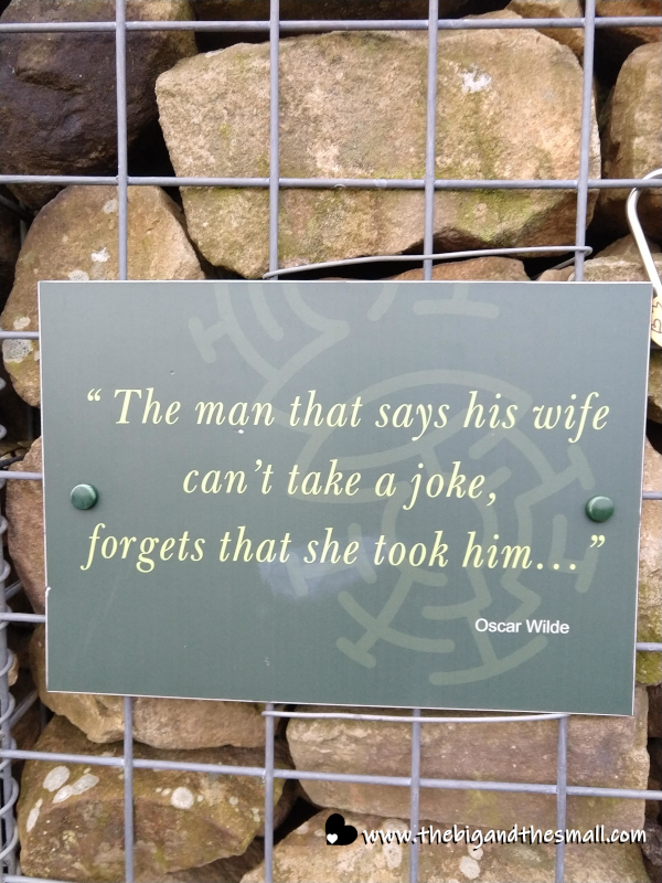 Oscar Wilde quote.png