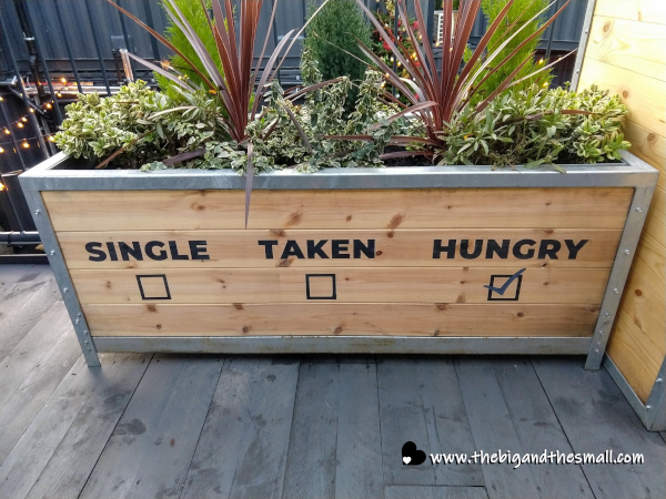 Planter with funny sign.png