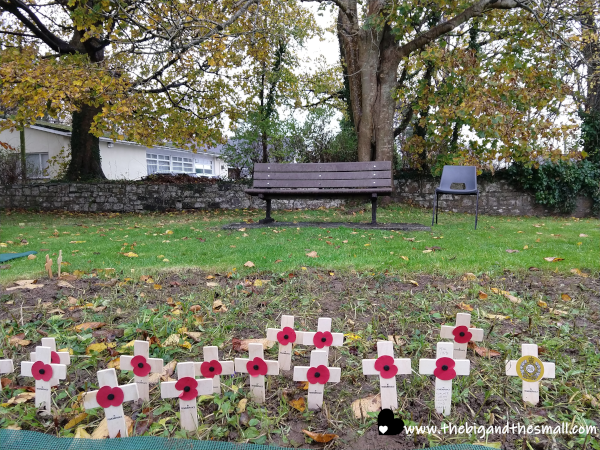 Small Crosses on Display.png
