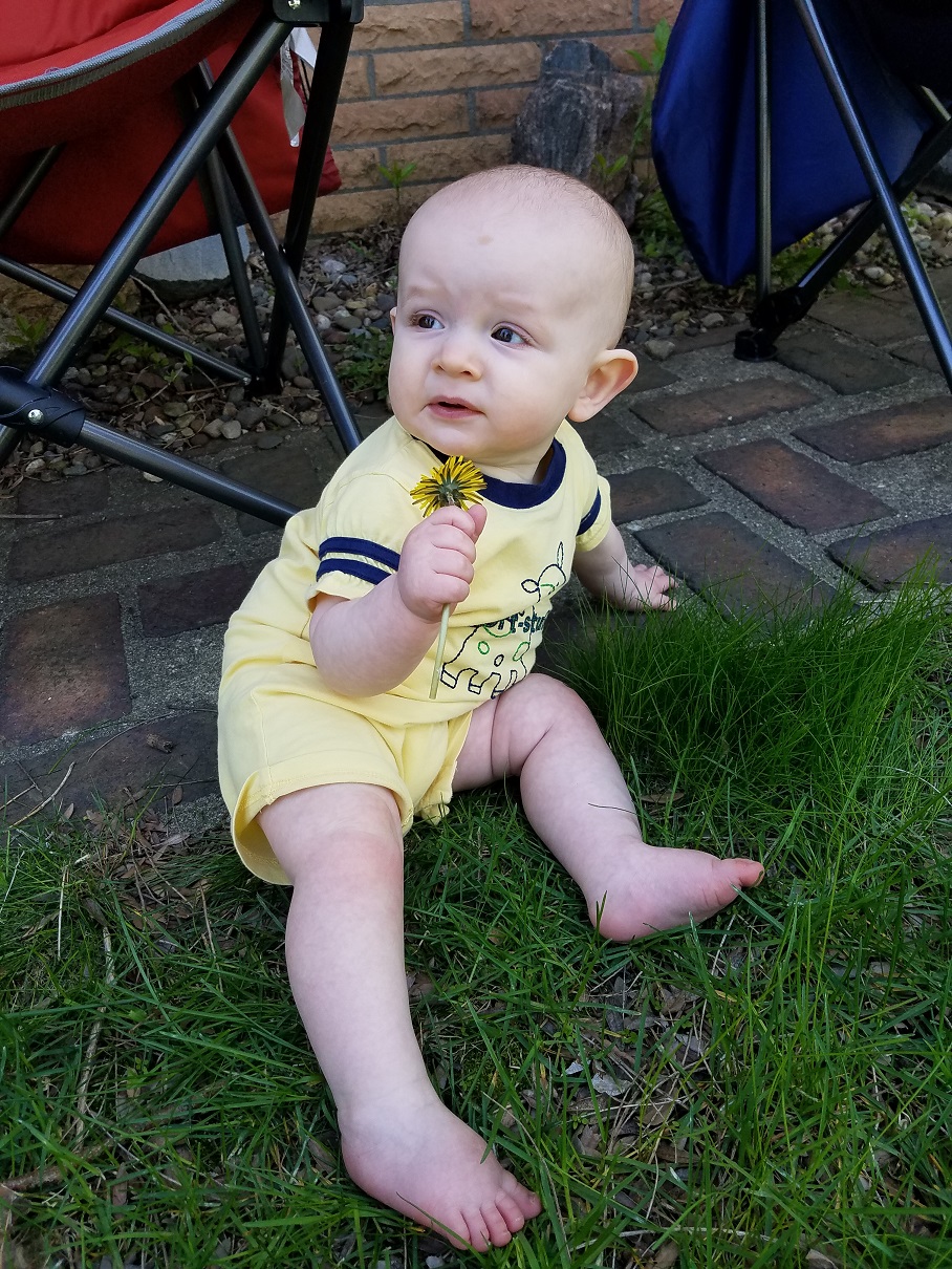Baby Ben holding Dandelion