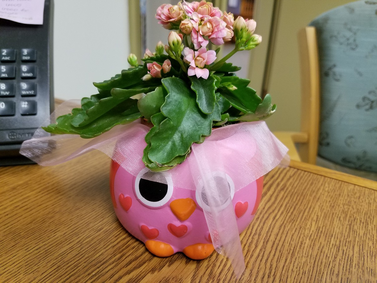 Valentine's Day gift